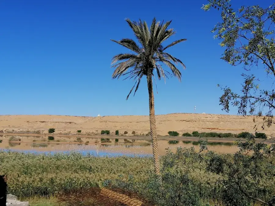 Sakia El Hamra
