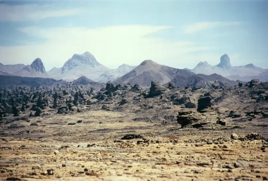 Ounianga Date Palm Groves — Guelta d'Archei (Chad)
