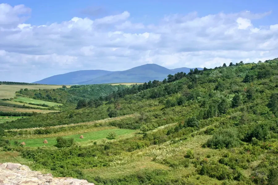 Ózd