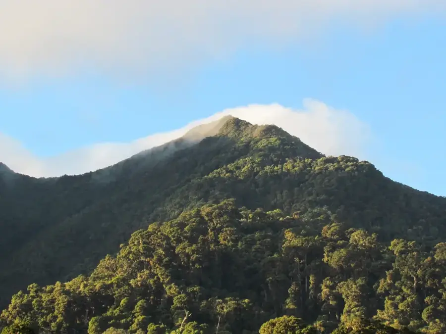 Volcan Baru National Park — Boquete (Panama)