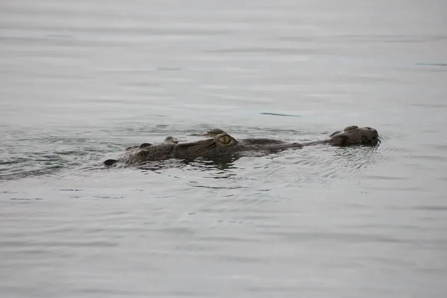 Gatun Lake — Boquete (Panama)