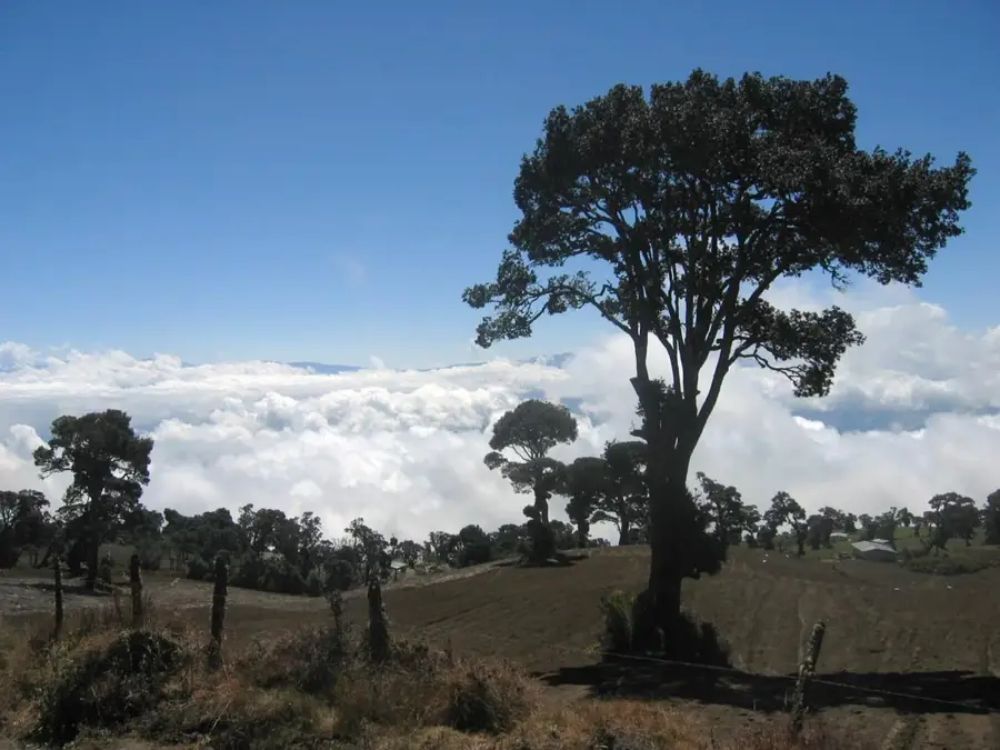 Pacayas — Mount Killibrin (Nicaragua)