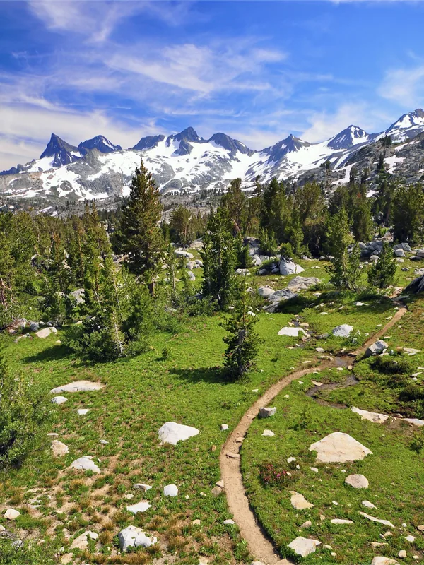 Pacific Rim National Park Forest