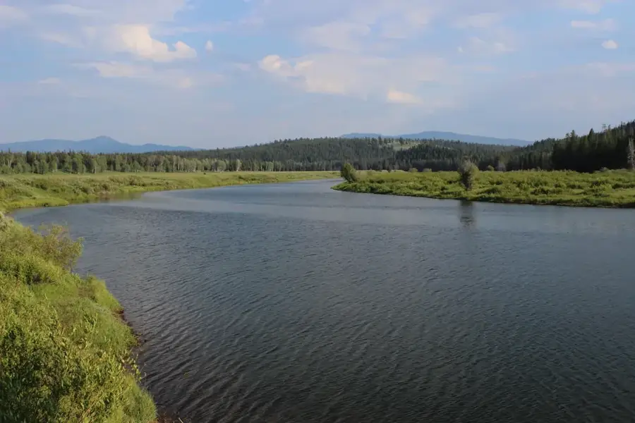 Pacific Salmon Run