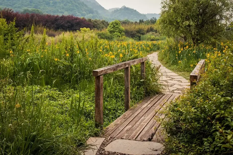 Airai Stone Path