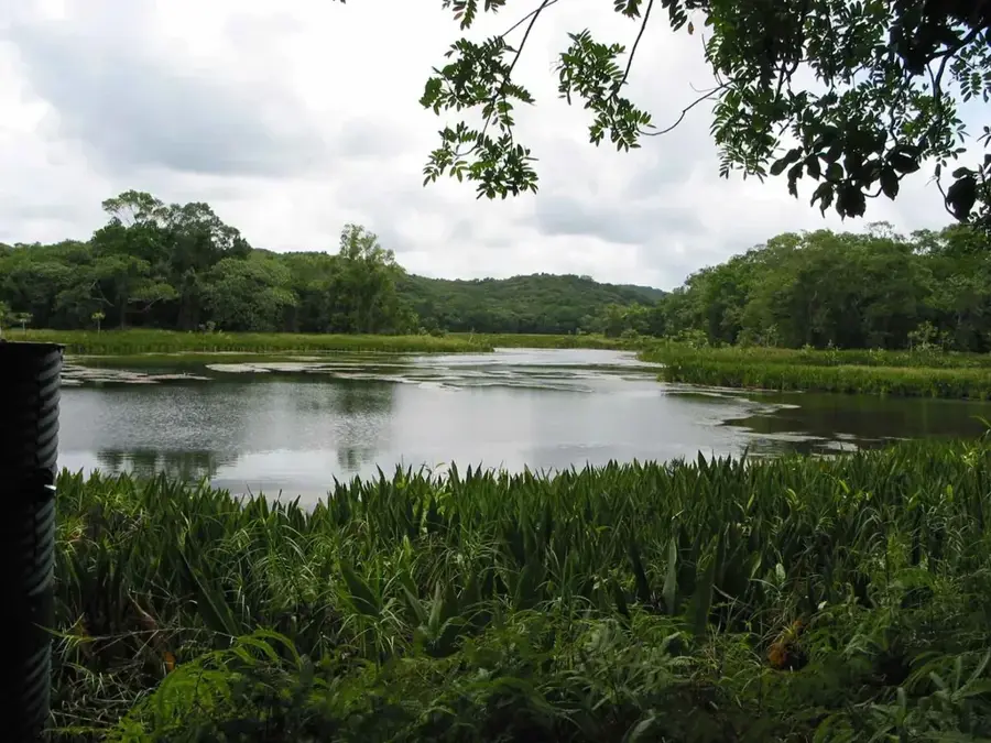 Ngardok-medence — Ngardok-tó (Palau)