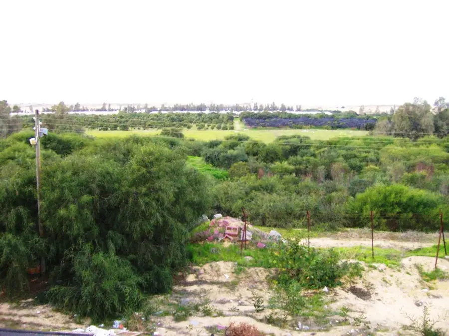 Al-Zawayda — Arish (Egipt)