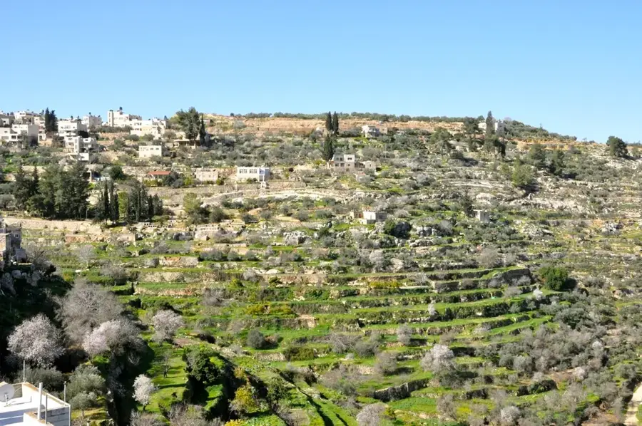 Battir ókori teraszai