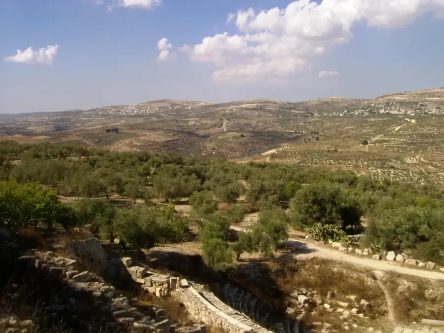 Samarian Highlands