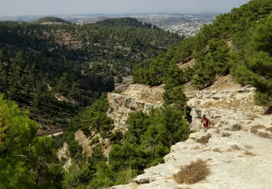 Wadi al-Quff Naturschutzgebiet