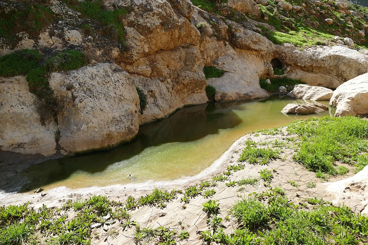 Wadi el-Mureijat Naturbereich — Jordan-Fluss (Jordanien)