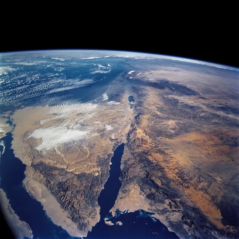 Wadi Gaza Nature Reserve