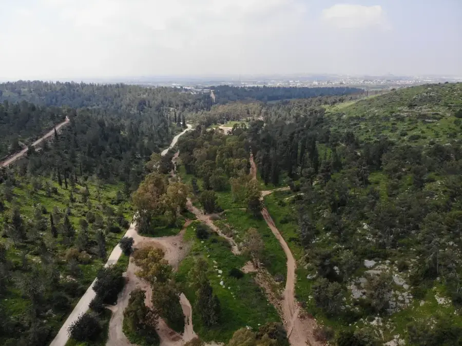 Wadi Kanah Nature Reserve