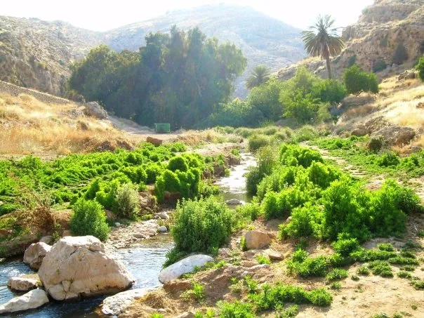 Wadi Qelt