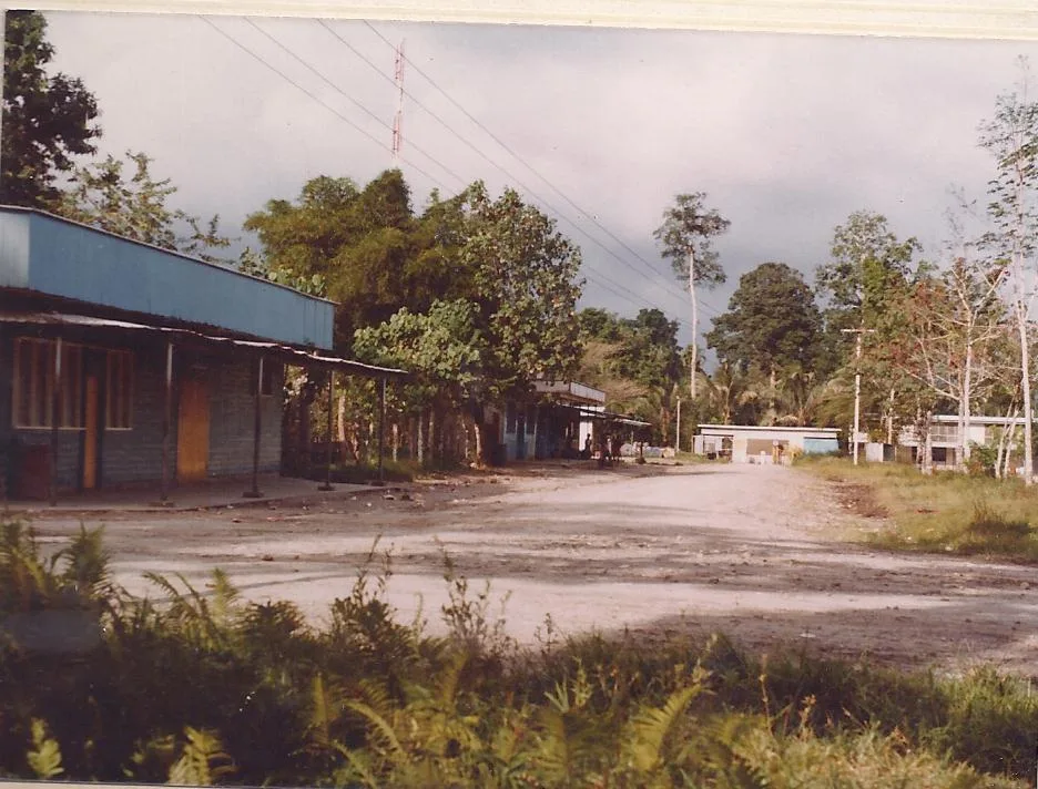 Buin