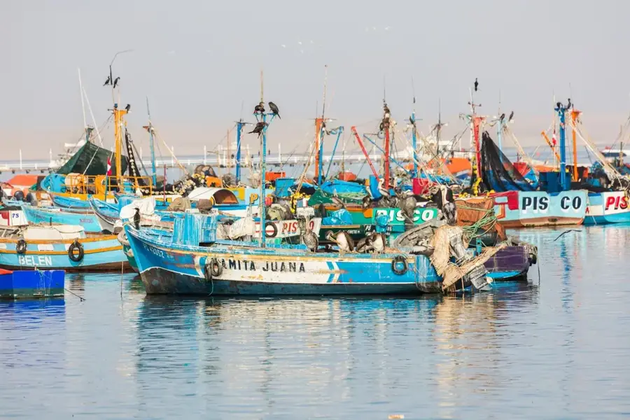 Paracas-Halbinsel — Toromocho-Mine (Peru)