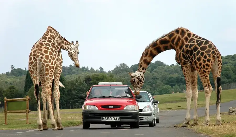 Parc Safari Delta