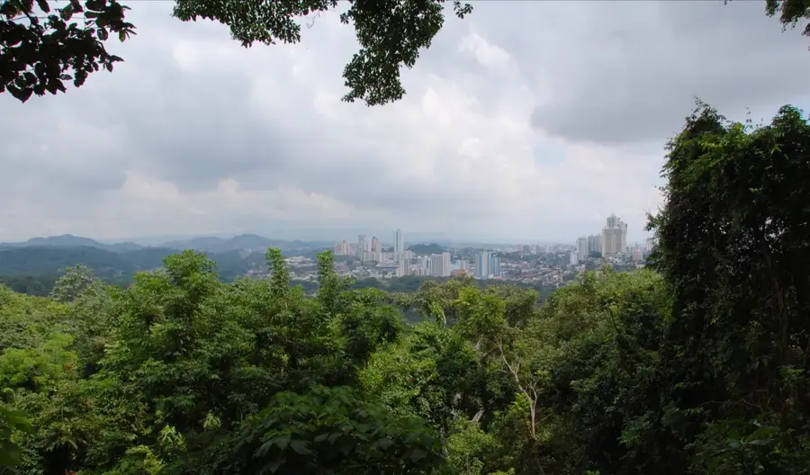 Metropolitan Natural Park — Edificio Hatillo (Panama)
