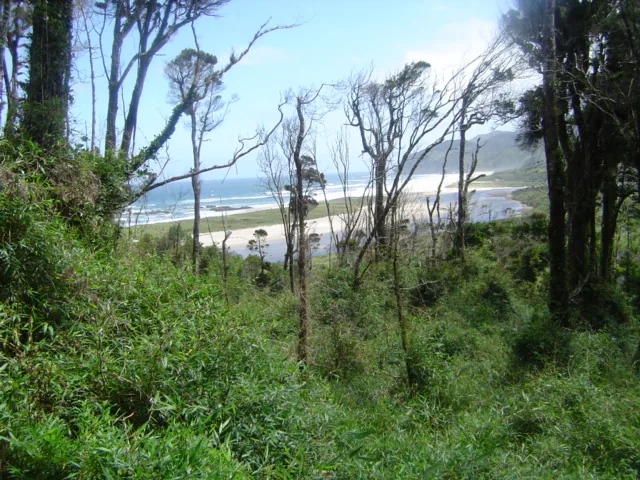 Chiloé Nemzeti Park — Achao Templom (Chile)