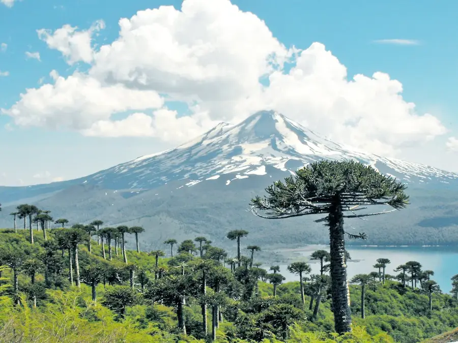 Nationalpark Conguillío (Chile)