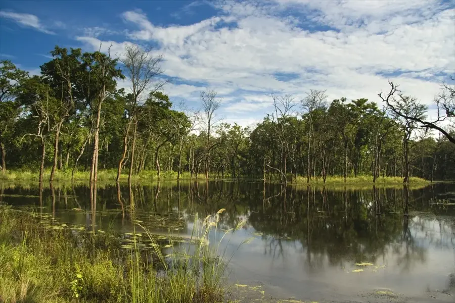 Parsa-Nationalpark — Lahan (Nepal)
