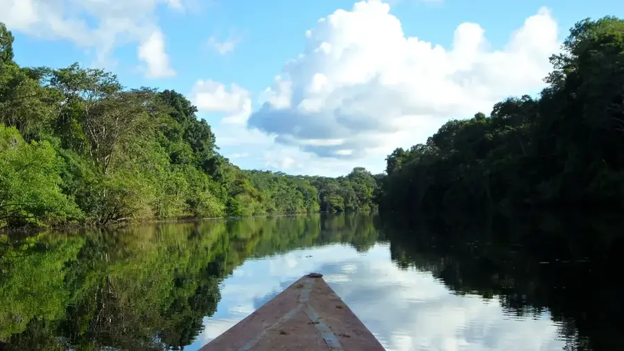 Pacaya-Samiria Rezervátum — Napo (Peru)