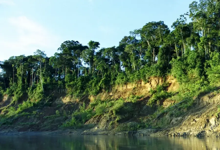 Manu-Nationalpark — Sandoval-See (Peru)