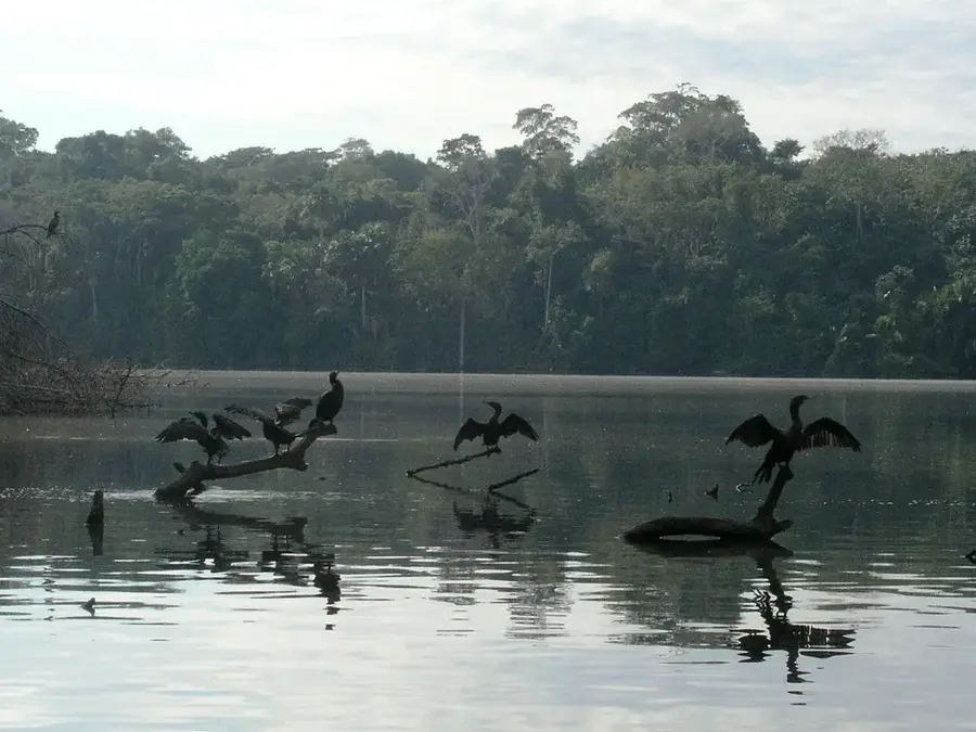 Sandoval-See — Bahuaja-Sonene (Peru)