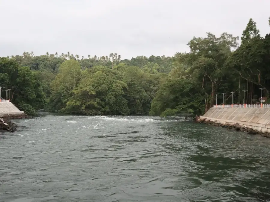 Agus VI Hydroelectric Plant — Dole Pineapple Plantation (Philippines)