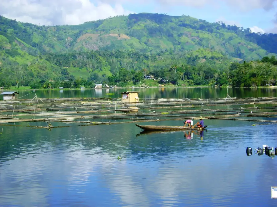 Cotabato Valley — Dole Pineapple Plantation (Philippines)