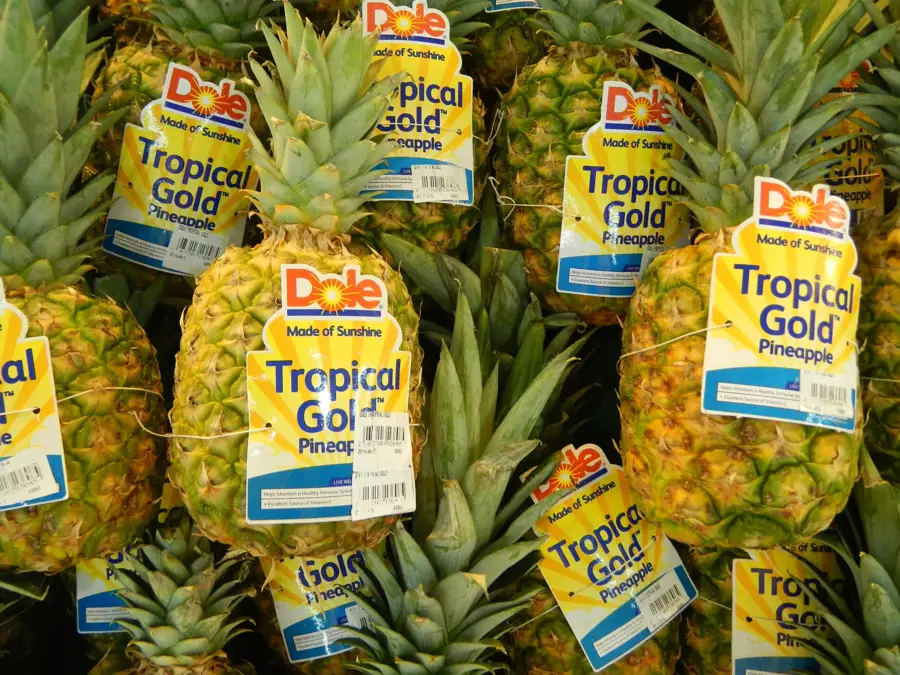Dole Pineapple Plantation (Philippines)