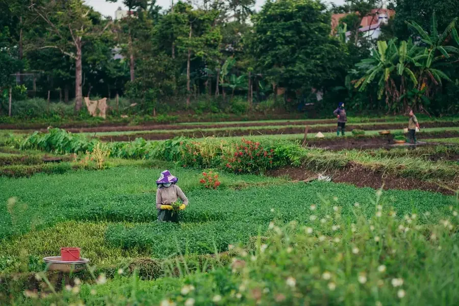 Mindanao Baptist Rural Life Center — Malagos Garden Resort (Philippinen)