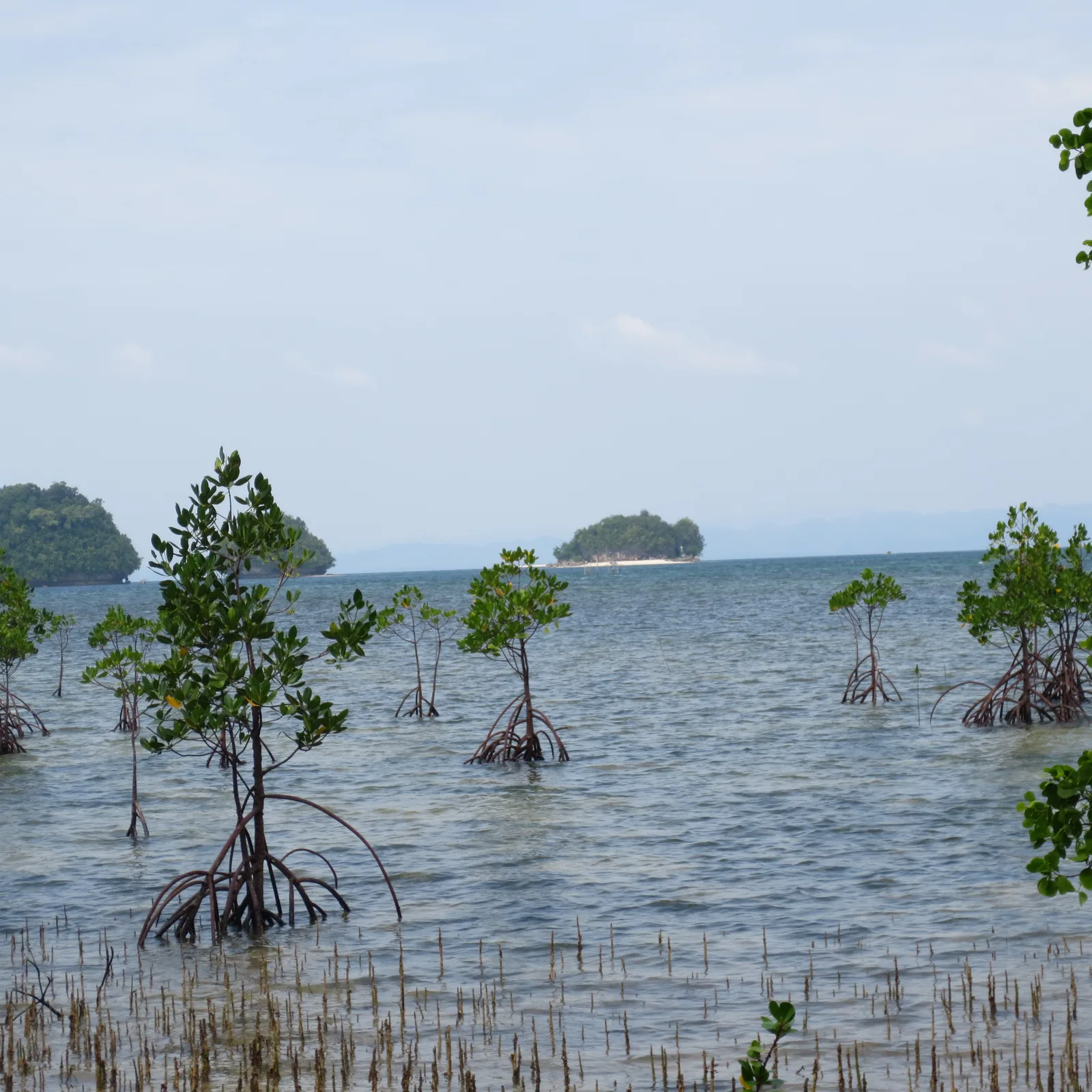 Britania — Siargao Island (Philippines)
