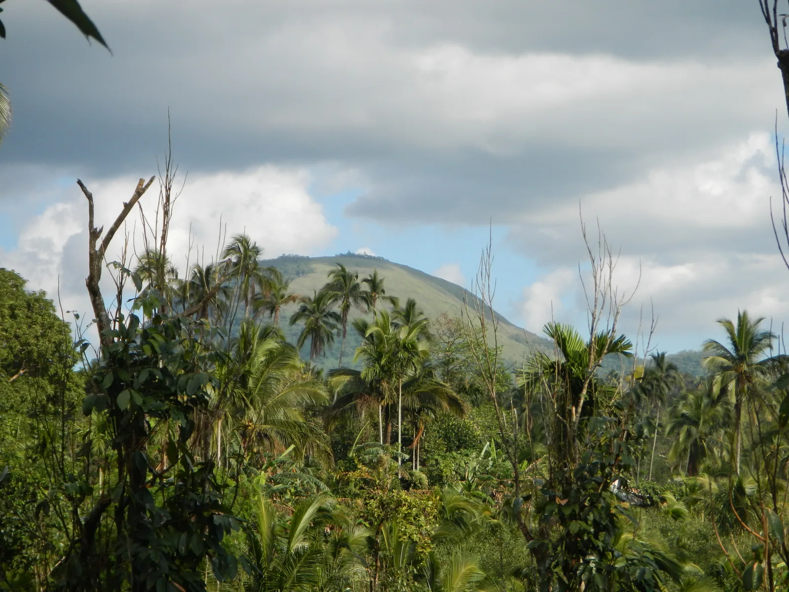 Dolores — Igang (Filipine)