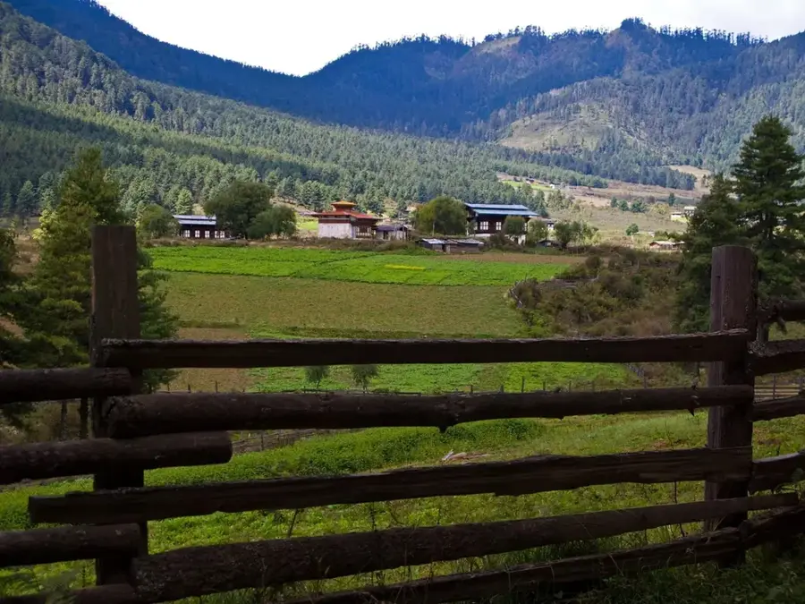 Valea Phobjikha — Trongsa (Bhutan)