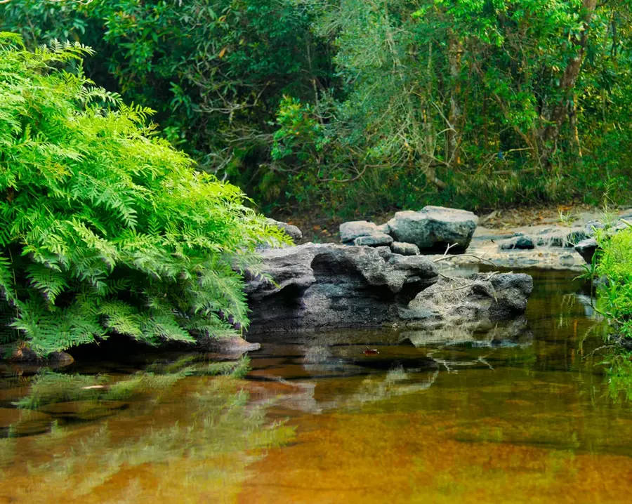 Phou Khao Khouay Nationalpark — Nong Khai (Thailand)