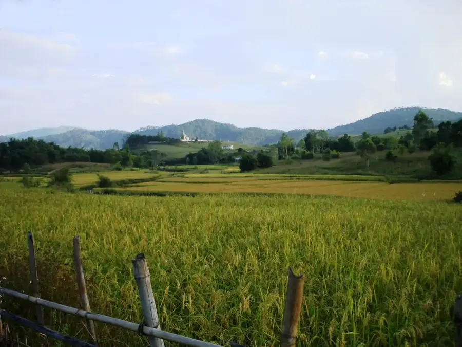 Pasul Phou Khoun — Phonhong (Laos)