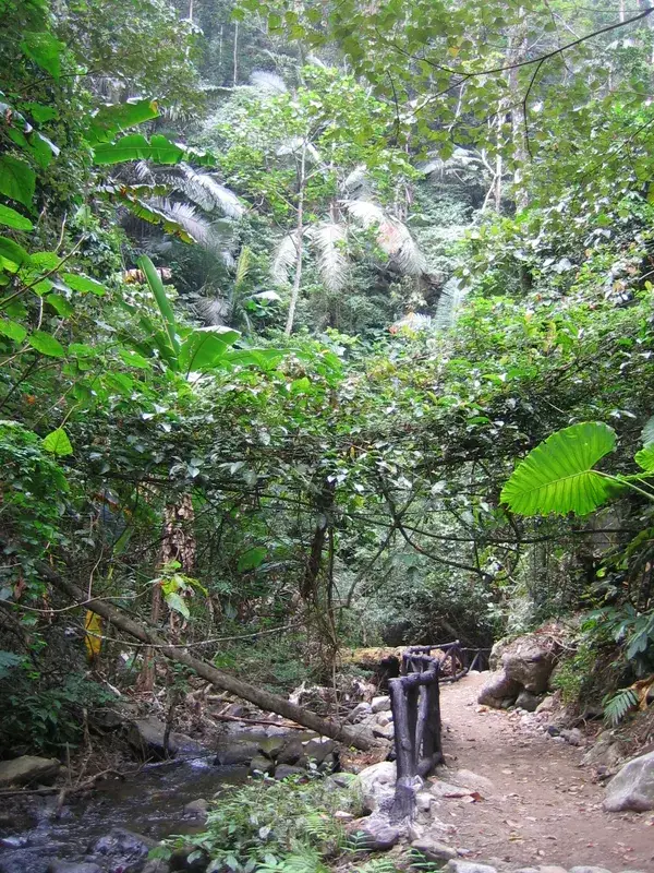 Fauna sălbatică din PN Phu Chong Na Yoi — Ubon Ratchathani (Thailanda)