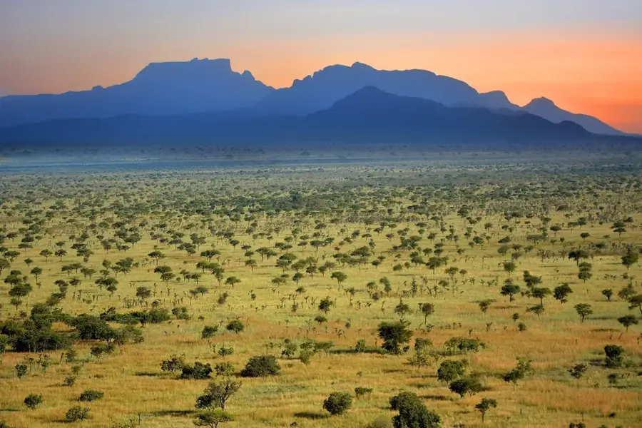 Pian Upe Wildlife Reserve — Groundnut Fields (Uganda)