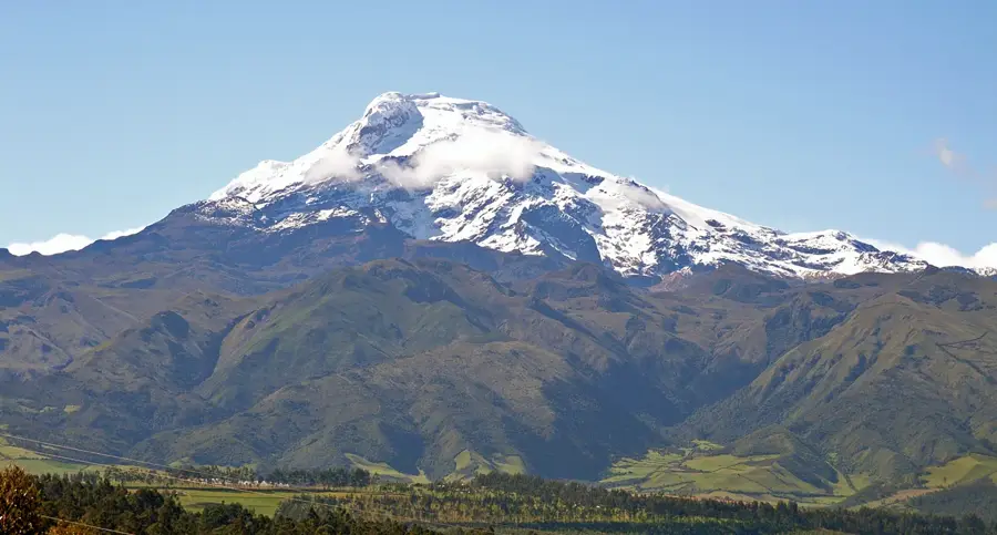 Pichincha — Tulipe (Ecuador)