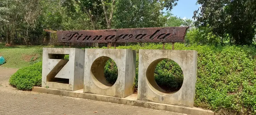 Pinnawala Szabadtéri Állatkert (Srí Lanka)