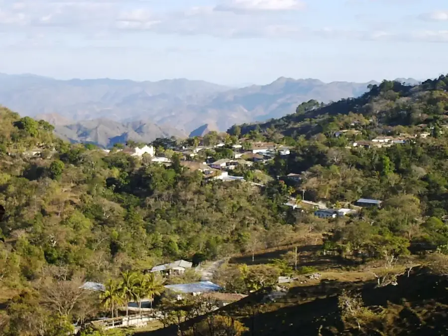 Piraera
