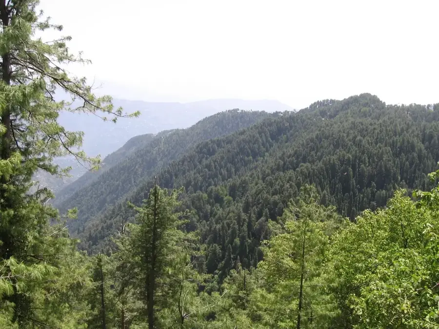Ayubia-Nationalpark — Takht-i-Bahi (Pakistan)