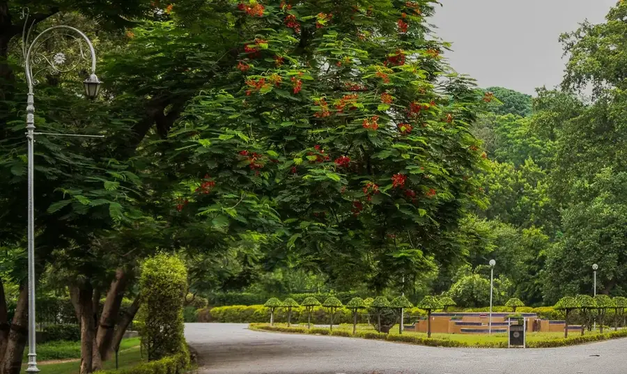 Bagh-e-Jinnah — Joyland Lahore (Pakisztán)
