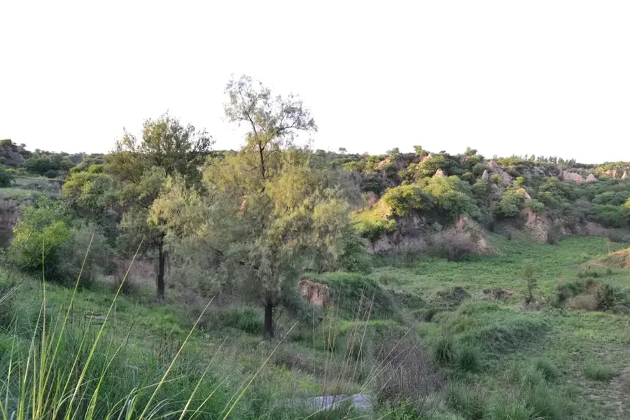 Pothohar-Plateau — Toba Tek Singh (Pakistan)