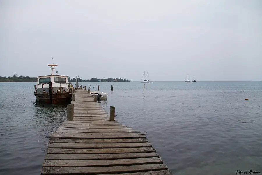 Placencia Coconut Groves — Gladden Spit Whale Shark Grounds (Belize)