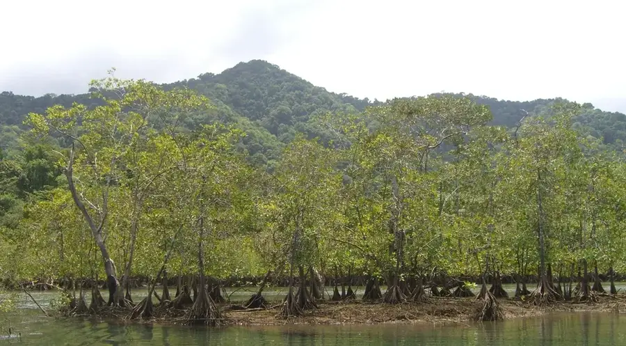 Utría National Park — Chucunaque River (Panama)