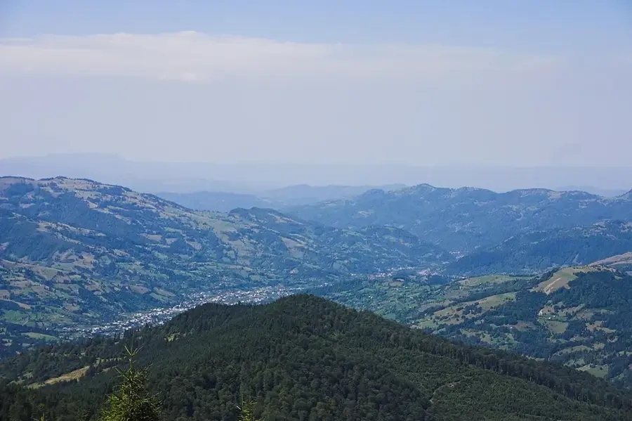 Poienile de sub Munte – oraș