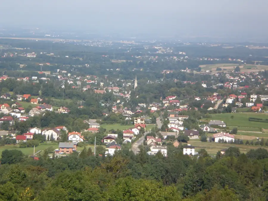 Kozy