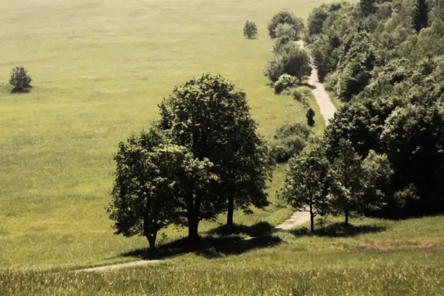 Magura Nemzeti Park